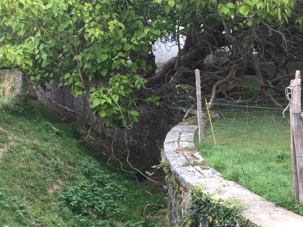 Détail du saut-de-loup du château du Thuit-Simer. Au XVIIᵉ siècle François Mansart décide de placer des sauts-de-loup au bout des allées des jardins afin de dégager la vue tout en bloquant le passage. Les sauts-de-loup sont aussi appelés "ha-ha" depuis l'exclamation de surprise du jeune Grand Dauphin, fils de Louis XIV, en découvrant le saut-de-loup du jardin de Meudon.