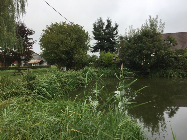 Après avoir contourné la D38, nous la traversons au niveau de la mare de la rue Tassel.