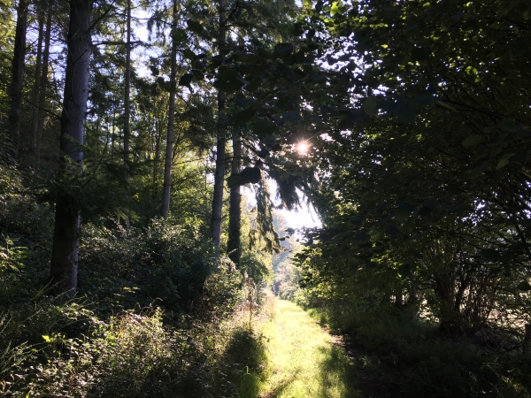 Chemin du Val Dallet.