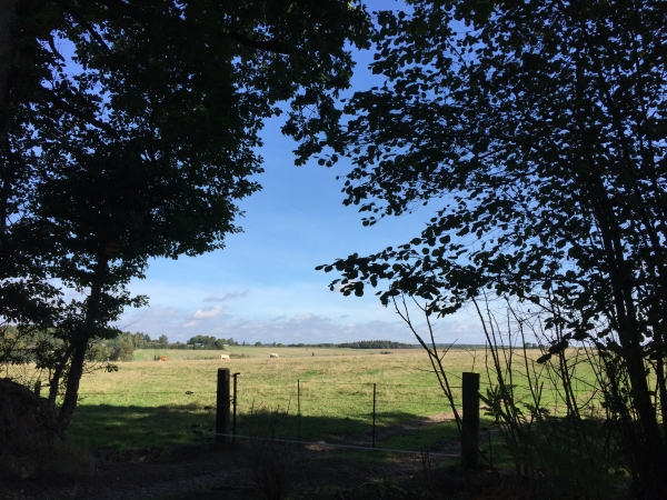 Sentier de Découverte, nous sommes en lisière de la forêt de Montfort, le long de la plaine des Câteliers.