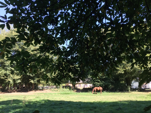 Nous sommes maintenant sur le plateau, en lisière de forêt, le long du domaine des Roussettes.