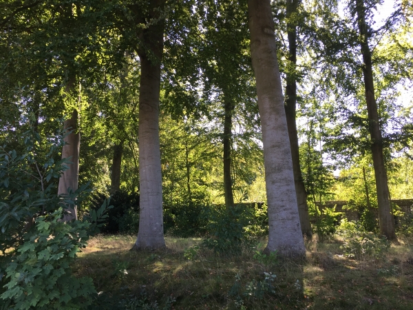 Nous longeons le parc du château de Brumare sur la commune de Brestot.