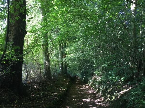 Nous suivons le chemin du Calibouret pour redescendre vers Rondemare.