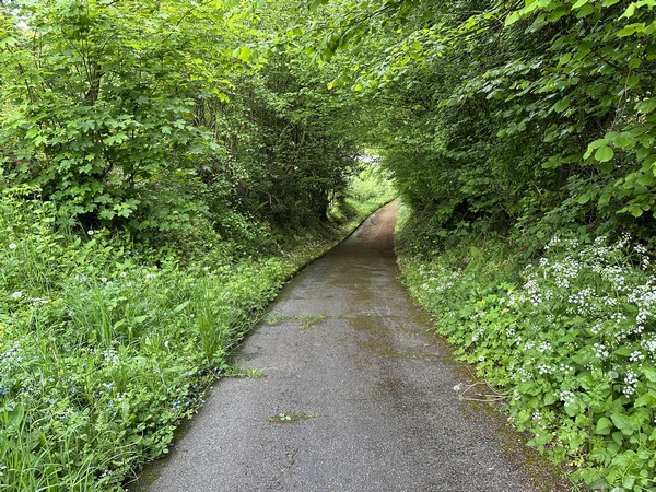 Nous partons du parking de la salle des fêtes d'Isneauville, et descendons la petite rue du Mont Roty pour sortir du bourg.