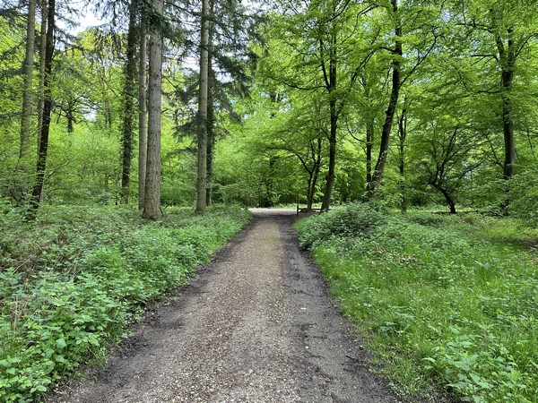 Nous arrivons à la D90. Nous allons la suivre à gauche sur quelques mètres, et prendre le premier à droite.