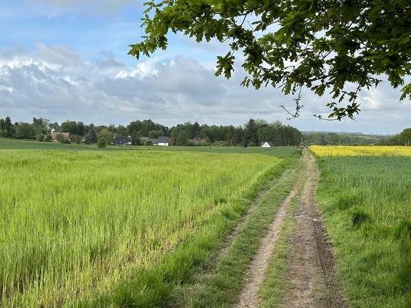 Nous sortons de la forêt par l'Ancien Chemin du Cailly. Nous allons traverser Houppeville en suivant les balises du GR210.