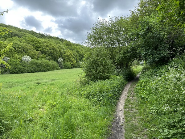 Nous montons le chemin du Val Allard, qui s'élargira en entrant en forêt domaniale.