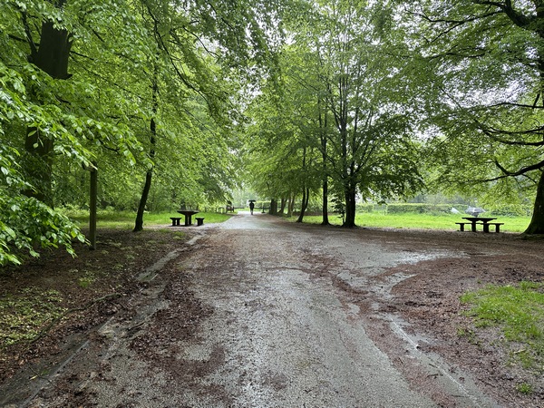 Nous allons traverser la D3 au niveau de l'ancienne maison forestière du Grand Canton.