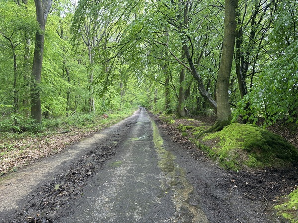 Nous avons rejoint le chemin de la Bicyclette. On comprend son nom quand on vient marcher ici un après-midi d'été !