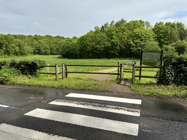 Nous quittons la forêt domaniale Verte, et allons traverser la D66 pour continuer en face.