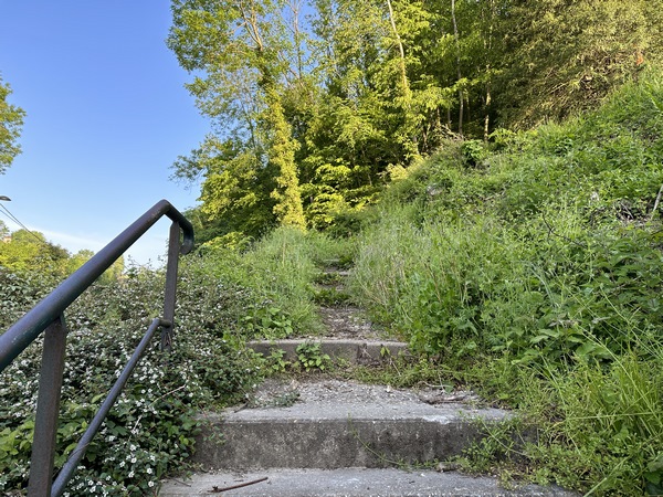En bas de la rue Cochet, se trouve cet escalier qui monte dans le bois.