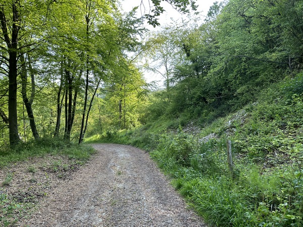Nous arrivons au niveau du Laboratoire. Le nom du lieu-dit a, comme toujours, une origine : Henri Gadeau de Kerville, en 1910, a créé ici, dans une ancienne carrière (propriété privée), un laboratoire de zoologie et de botanique. Gadeau de Kerville voulait percer le grand mystère de la vie en s'adonnant à des expériences loin de la lumière du jour... Le laboratoire a "fonctionné" moins de 2 ans, sans résultat semble-t-il. (Ref : Laurent Quevilly)