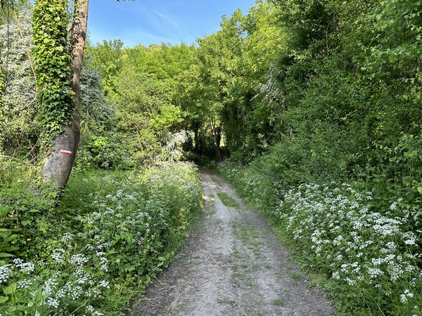 Le GR212 suit l'impasse des moulins et continue sur un chemin qui longe l'ancienne voie ferrée Caudebec - Barentin.