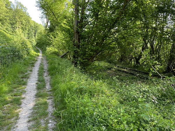 De temps en temps, on peut voir les rails de l'ancienne voie ferrée.
