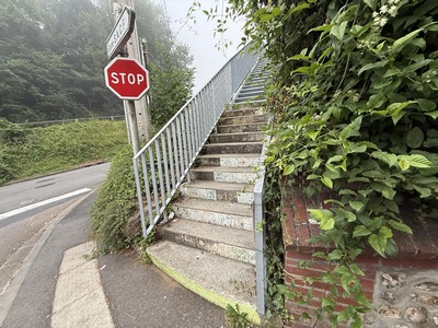 En bas de la rue Cochet, se trouve cet escalier qui monte dans le bois.