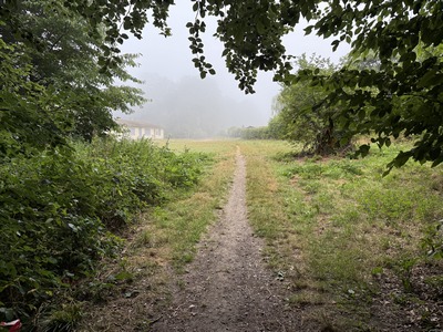 Sente André Botte en direction de l'avenue François Adrien Boieldieu que nous allons traverser pour sortir de la ville.