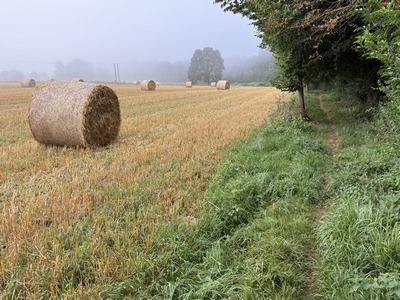 Nous traversons Villers-Ecalles et longeons le bois des Mines sur ce sentier.