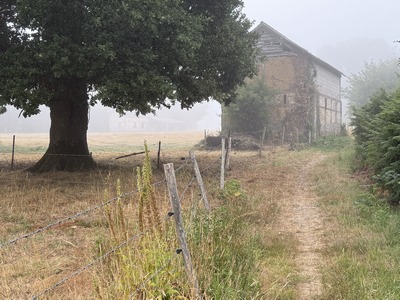 Sentier de lisière du bois des Mines.