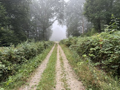 Nous rejoignons le large chemin qui sépare le bois de la Carrière du bois des Mines, au-dessus du Paulu.