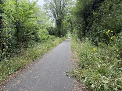 Nous sommes contraints de marcher sur le goudron de l'ancienne voie ferrée.
