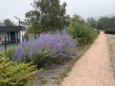La Voie Claude Lemesle est couverte d’un revêtement doux, adapté aux cyclistes et aux marcheurs. Elle est bordée par les anciens rails et a été végétalisée. Quelle réussite !