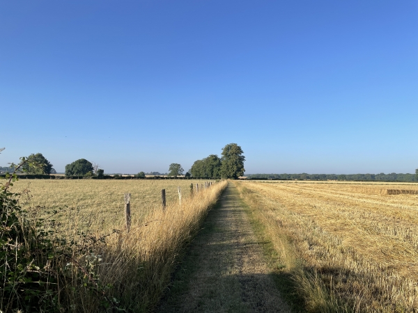 Nous sommes maintenant sur le chemin des Forrières en direction du sud.