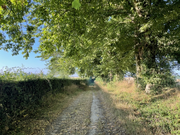 Le chemin continue jusqu'à la route d'Epreville.