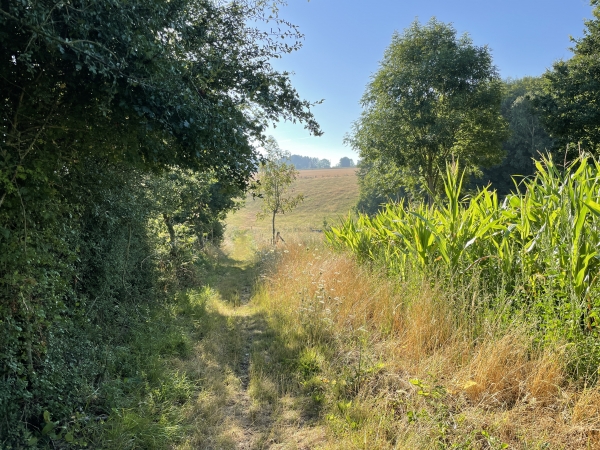 Le chemin du Puits va nous conduire jusqu'à l'entrée de Coqueréaumont.