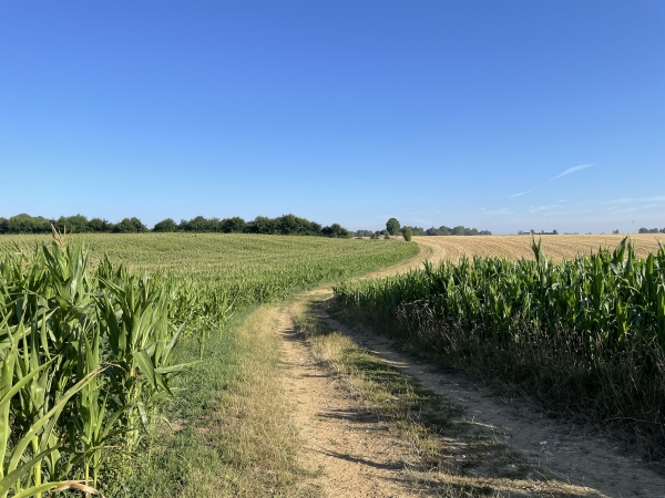 En sortant de Coqueréaumont, nous trouvons le chemin qui traverse la plaine de Trouville.