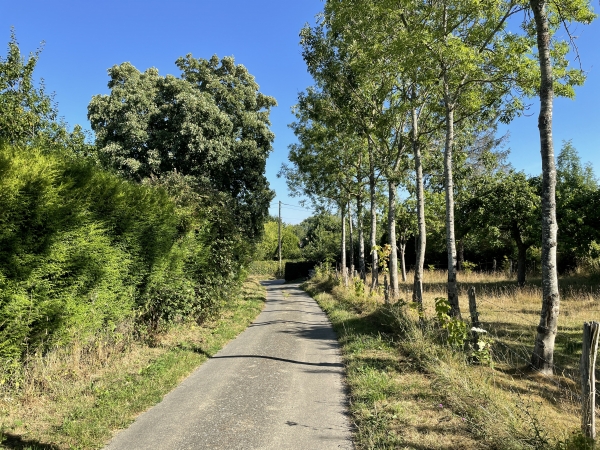 Le sentier de l'Est devient petite route peu avant de rejoindre la rue Principale de Bois-l'Evêque que l'on devine en face.