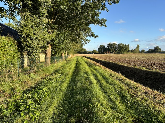 Peu après la sortie du bourg, je traverse la D80 et continue vers l'est sur ce chemin Auvray Ballicorne.