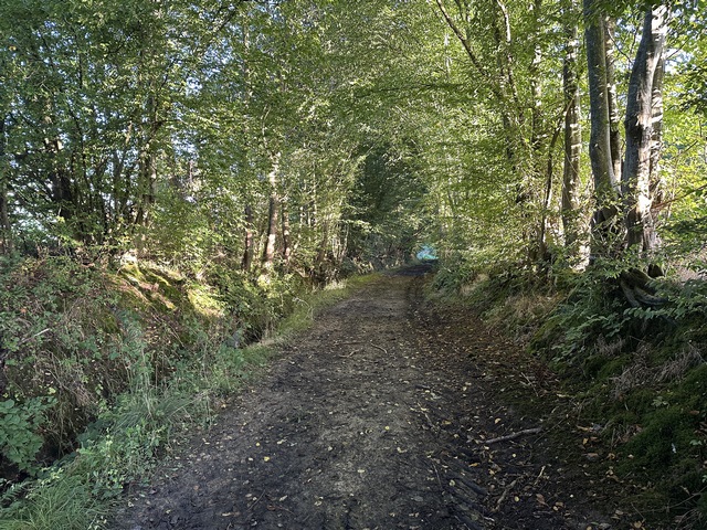 Le chemin se glisse entre le bois de la Haye-du-Theil et le hameau du Heuzey.