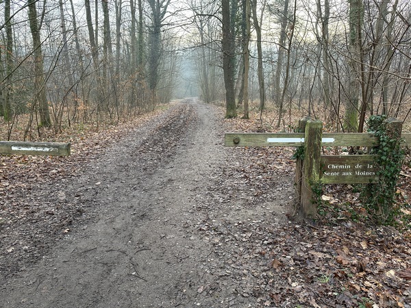 Je pars du parking de l'aire de la Mare Asse. En quelques pas, je quitte la Seine-Maritime pour entrer dans l'Eure et la forêt domaniale de Bord-Louviers.