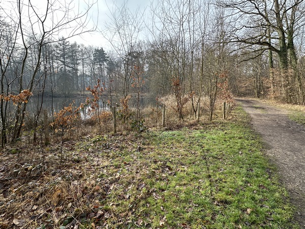 Je longe la grande mare Asse pour retrouver le parking de l'aire d'accueil.
