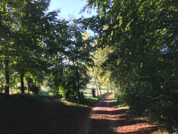 Nous allons quitter le Chemin de la Forêt pour suivre ici à gauche, une variante du GR23a.
