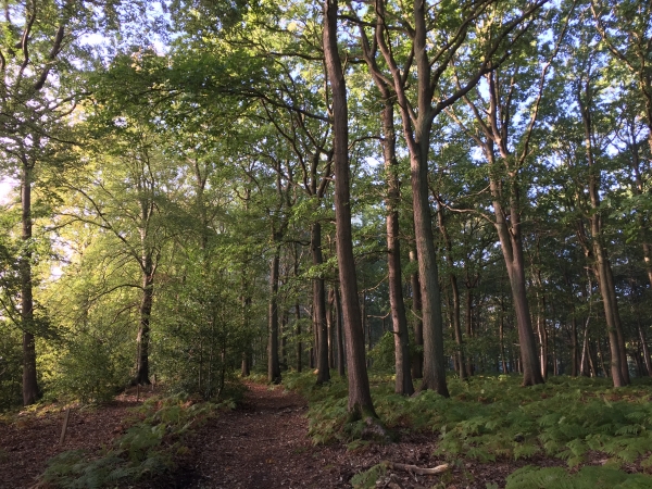 Nous continuons sur la variante du GR23a.