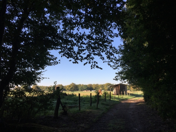 Nous arrivons au lieu-dit la Grosse Pierre, au nord de Jumièges.