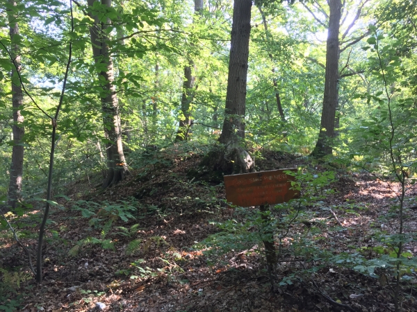 Nous retrouvons les vestiges du Fossé Saint-Philibert qui traverse la presqu'île.