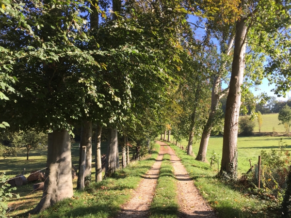 Et nous voilà de retour sur le Chemin de la Forêt de Saint-Paul.