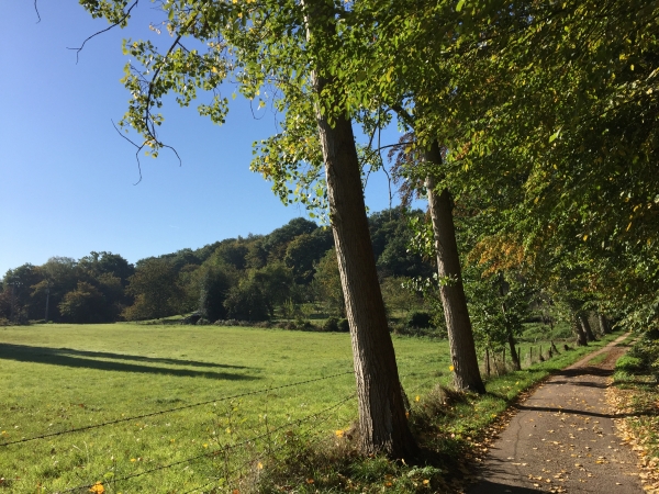 Ce chemin est magnifique en toute saison, et mérite à lui seul la promenade.