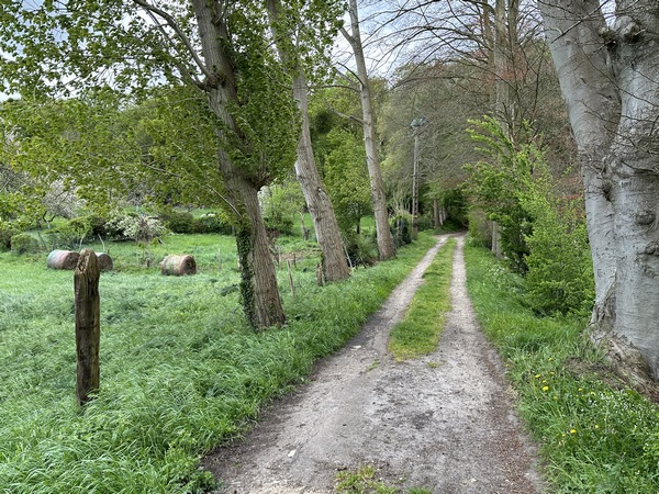 Nous aimons particulièrement ce chemin, en toute saison, bordé de hêtres puis de charmes.