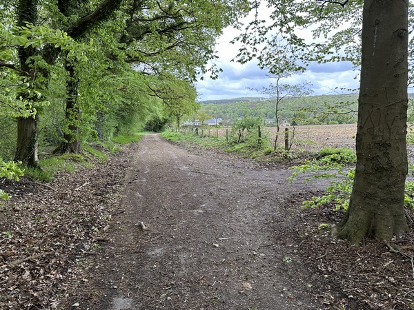 Nous sortons du bois de Jumièges au-dessus de Yainville.