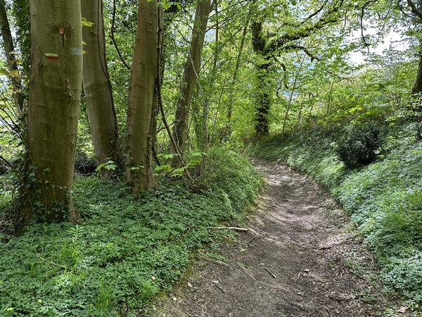 Nous descendons maintenant le délicieux chemin de la Quénette (GR23A).