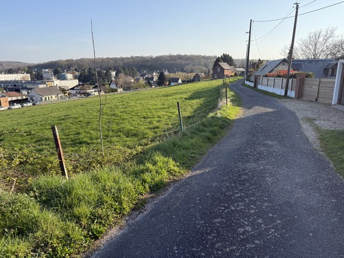 Rue Bonissent, juste avant le chemin du Panorama. Le bel herbage à gauche est désormais la propriété d'un lotisseur.