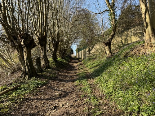 A l'approche du hameau du Claquemeure, le chemin se borde d'arbres têtards.