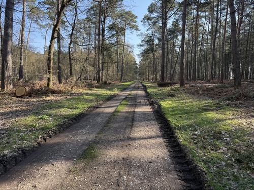 Voie forestière du Claquemeure.