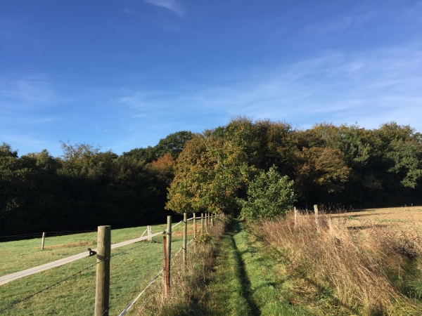 Nous n'entrons pas dans le hameau du Bosc-Renier, et sans quitter les chemins, nous repartons vers le bois de Binemare.
