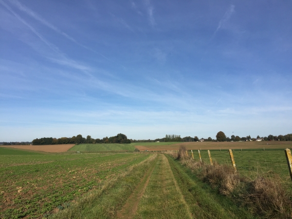 Après un bref passage sur la D6, nous suivons, dans la plaine de la Milleraye, le chemin qui va rejoindre le GR212.