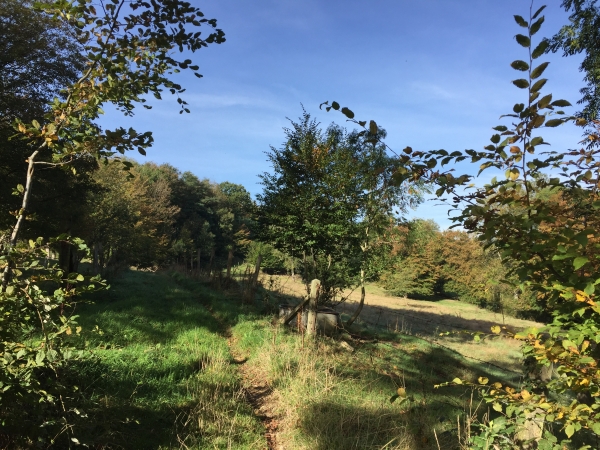 Le GR212 sur le plateau au-dessus de Ste-Austreberthe.
