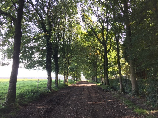 Nous quittons le GR212 au-dessus de Pavilly pour suivre le GR25.